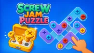 Screw Jam Puzzle